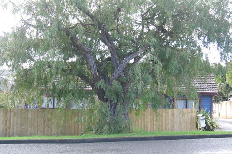 Photo of property in 33 Morningside Road, Morningside, Whangarei, 0110