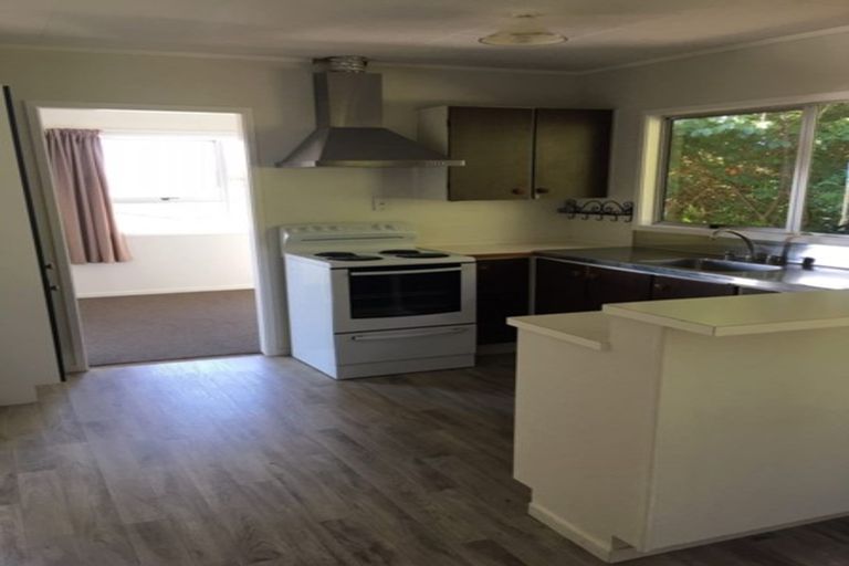 Photo of property in 1/23 Santiago Crescent, Unsworth Heights, Auckland, 0632