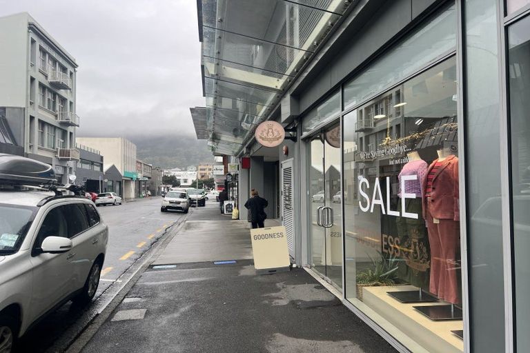 Photo of property in Trinity Apartments, 19 College Street, Te Aro, Wellington, 6011