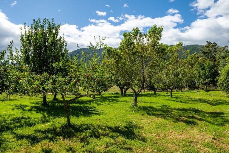 Photo of property in 546 Onamalutu Road, Onamalutu, Blenheim, 7275