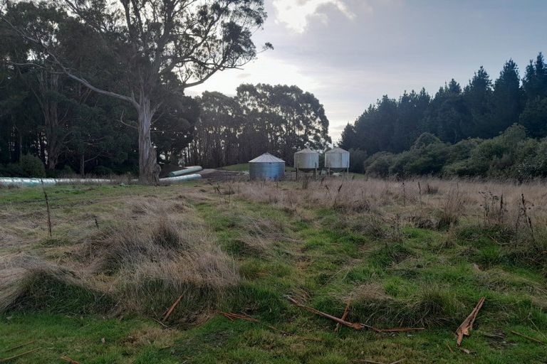 Photo of property in 53 Bushey Park Road, Bushey, Palmerston, 9482