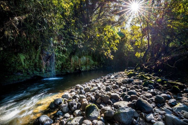 Photo of property in 1946 Mountain Road, Norfolk, Inglewood, 4388