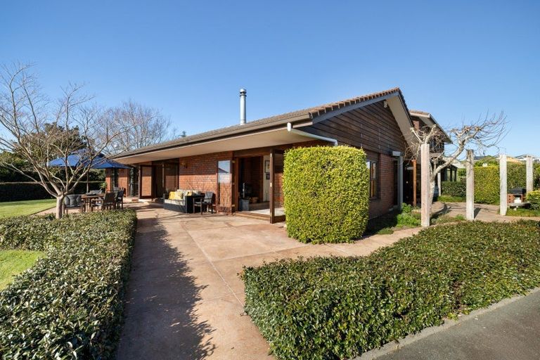 Photo of property in 196 Whakamarama Road, Whakamarama, Tauranga, 3179