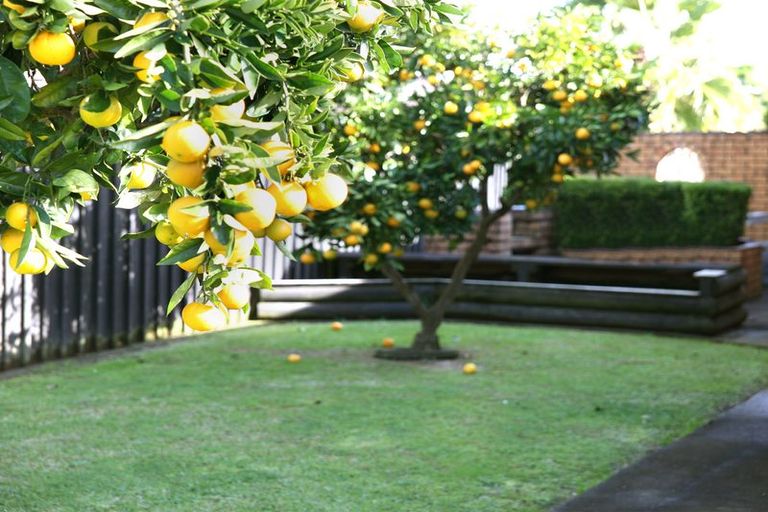 Photo of property in 51 Barnhill Crescent, Pahurehure, Papakura, 2113