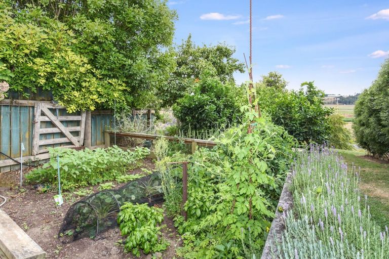 Photo of property in 218 Hampton Downs Road, Whangamarino, Te Kauwhata, 3782