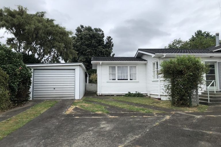 Photo of property in 17 Devon Street, Levin, 5510