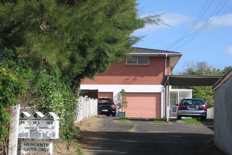 Photo of property in 14 Counsel Terrace, Mount Albert, Auckland, 1025