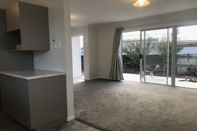 Photo of property in 3 Lilac Street, Melville, Hamilton, 3206