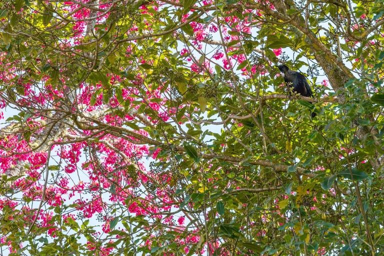 Photo of property in 202 Whangamata Road, Kinloch, Taupo, 3377