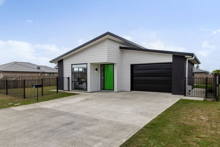 Photo of property in 104 Hinemoa Street, Levin, 5510