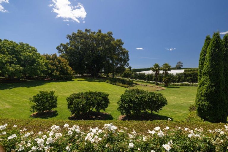 Photo of property in 323 Plummers Point Road, Whakamarama, Tauranga, 3172