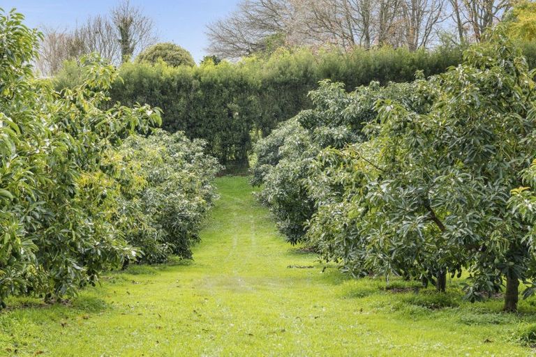 Photo of property in 121a Benner Road, Pukehina, Te Puke, 3186