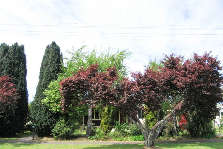 Photo of property in 17 Buchanan Street, Mangapapa, Gisborne, 4010