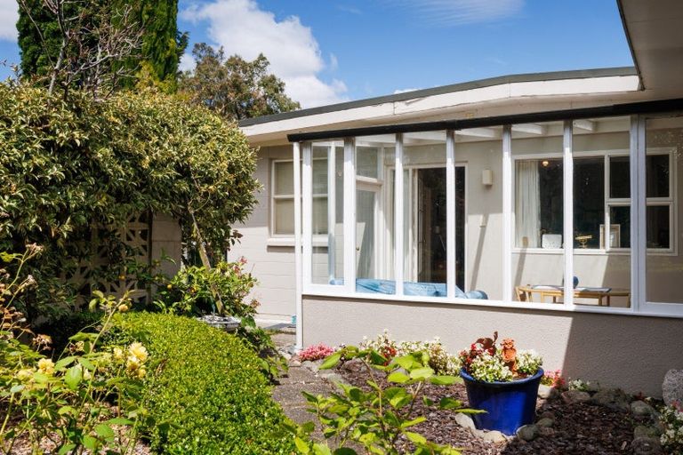 Photo of property in 1498 Napier Road, Ashhurst, 4810