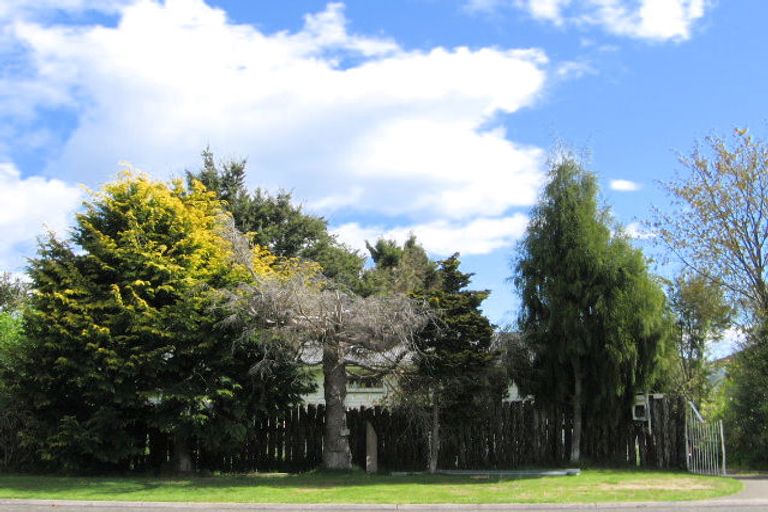 Photo of property in 45 Hinemoa Avenue, Taupo, 3330