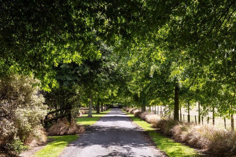 Photo of property in 134 Cohrs Road, Poukawa, Hastings, 4178