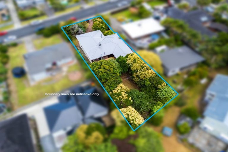 Photo of property in 56 Woodford Avenue, Henderson, Auckland, 0610