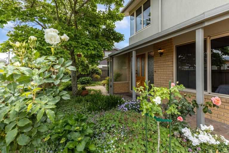 Photo of property in 12 Andrew Street, Blenheim, 7201