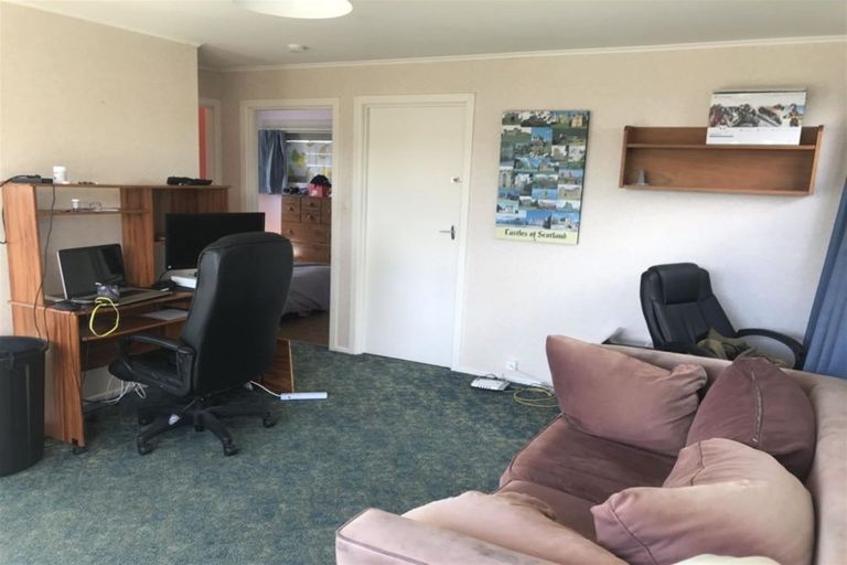 Photo of property in 45 Bruce Avenue, Glenview, Hamilton, 3206