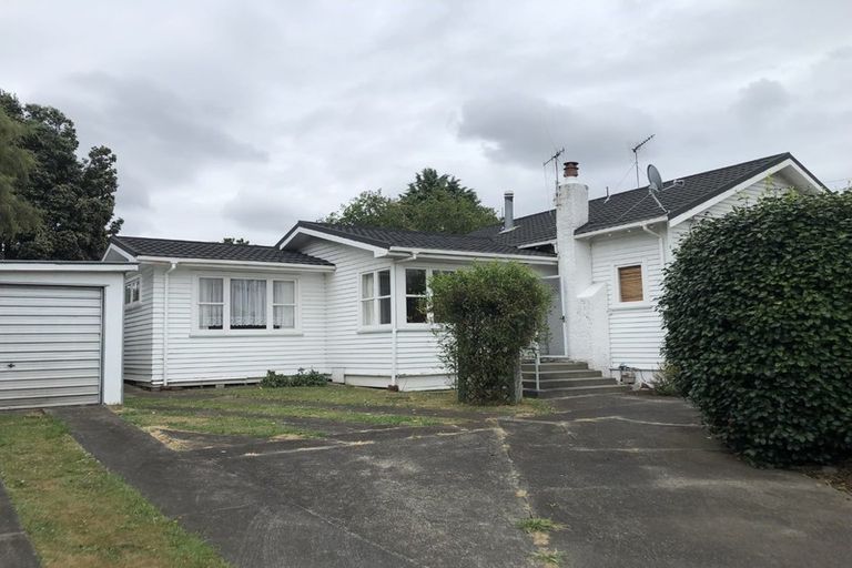 Photo of property in 17 Devon Street, Levin, 5510