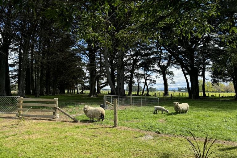 Photo of property in 1/3389 State Highway 2, Takapau, 4281