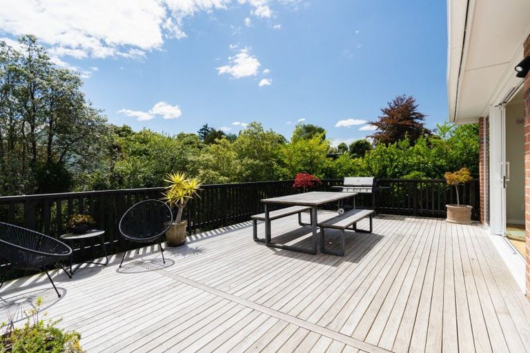 Photo of property in 43 Melrose Street, Roslyn, Dunedin, 9010