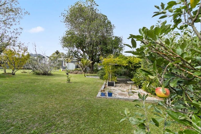 Photo of property in 55 Merani Street, Belmont, Auckland, 0622