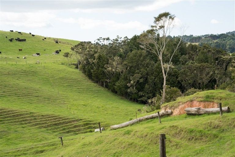 Photo of property in 67 Fraser Road, Kawakawa, 0210