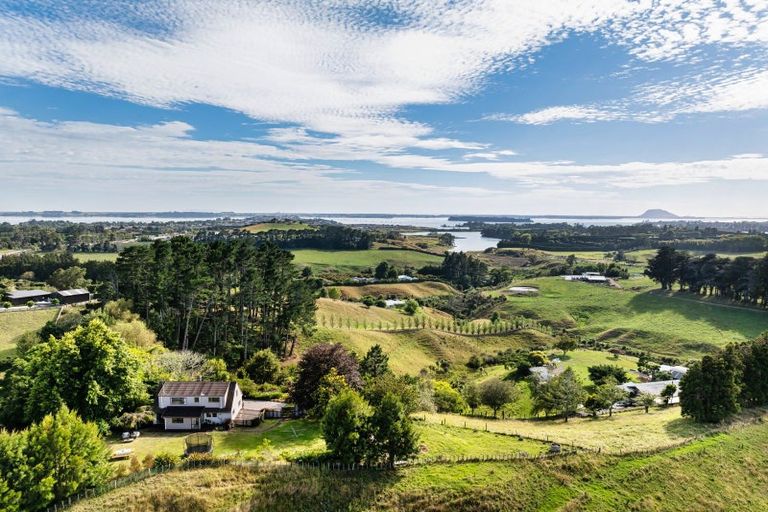 Photo of property in 73b Youngson Road, Whakamarama, Tauranga, 3180