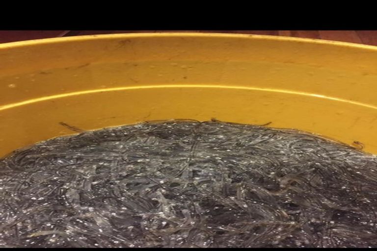 Photo of property in 3 Morton Street, Tuatapere, 9620