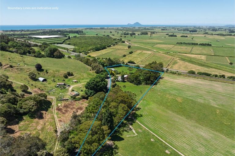 Photo of property in 261 Manawahe Road, Matata, Whakatane, 3194