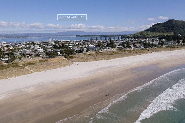 Photo of property in 47a Te Ngaio Road, Mount Maunganui, 3116