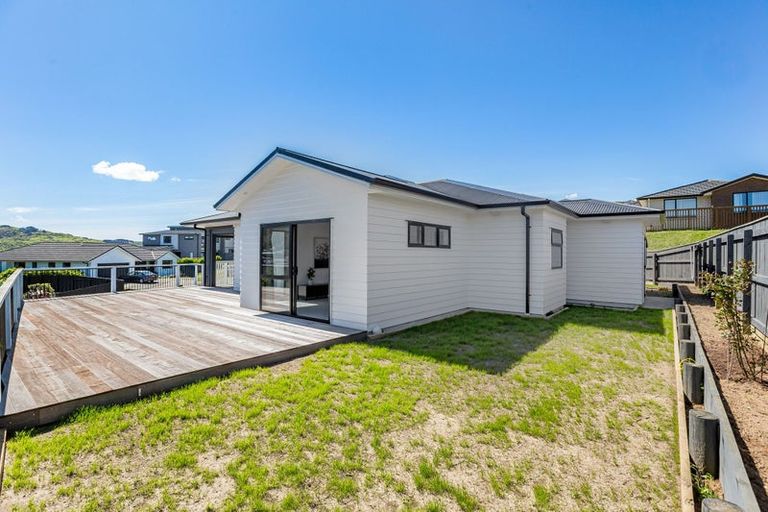 Photo of property in 117 John Burke Drive, Aotea, Porirua, 5024
