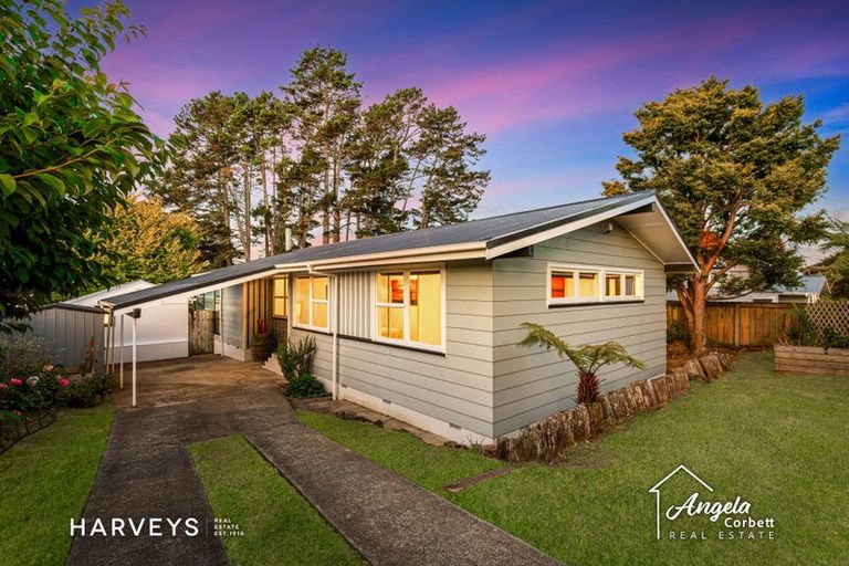Photo of property in 20 Jillian Drive, Ranui, Auckland, 0612