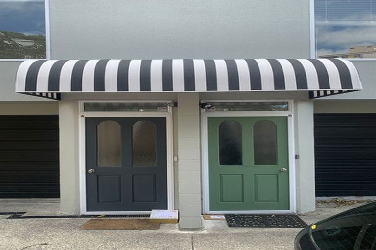 Photo of property in 145b Wallace Street, Mount Cook, Wellington, 6021