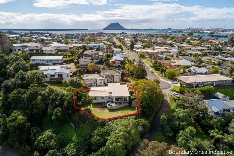 Photo of property in 77 Goods Road, Otumoetai, Tauranga, 3110