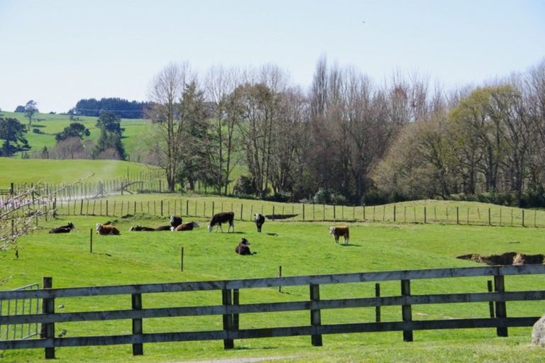 Photo of property in 759 State Highway 1, Wairakei, Taupo, 3384