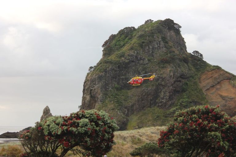 Photo of property in 64 Beach Valley Road, Piha, 0772