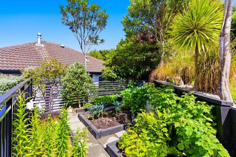 Photo of property in 37 Earls Road, Saint Clair, Dunedin, 9012