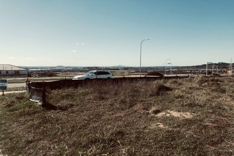 Photo of property in 24 Lime Hill Rise, Flat Bush, Auckland, 2019