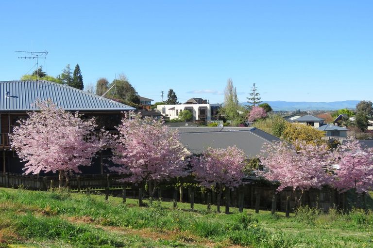 Photo of property in 257 Picquet Hill Road, Te Awamutu, 3800