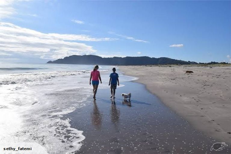 Photo of property in 3 Alpha Avenue, Coastlands, Whakatane, 3120