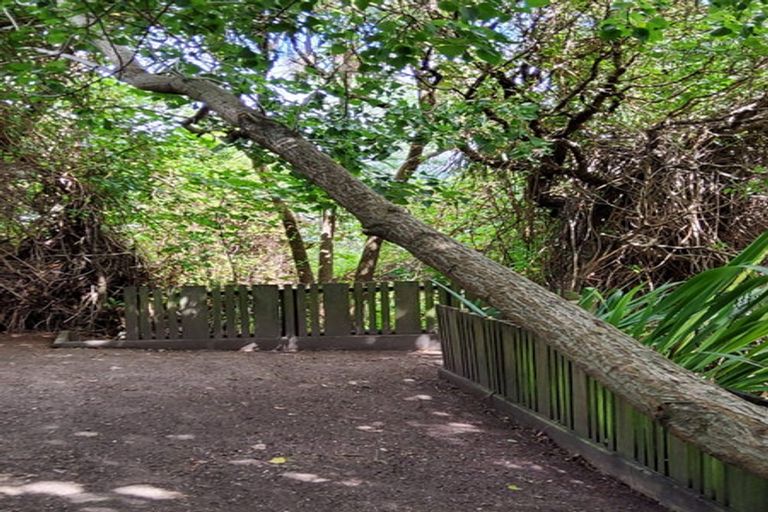 Photo of property in 74 Mana Esplanade, Paremata, Porirua, 5026