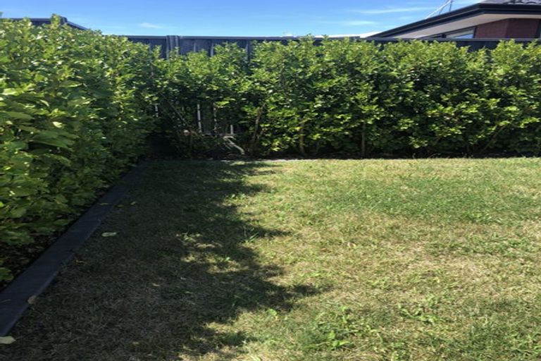 Photo of property in 14 Pioneer Crescent, Omokoroa, 3114