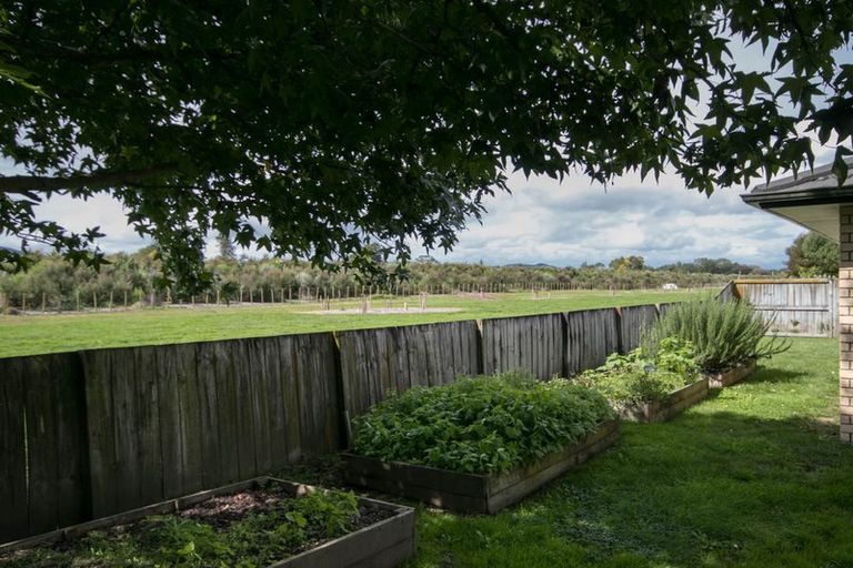 Photo of property in 23 Burr Street, Cambridge, 3434