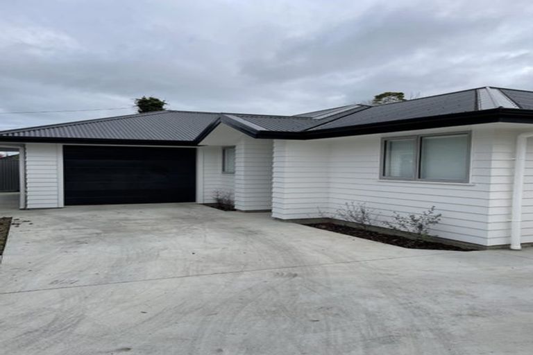 Photo of property in 50 Vogel Street, Roslyn, Palmerston North, 4414
