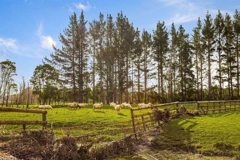 Photo of property in 278 Boord Crescent, Kumeu, 0891