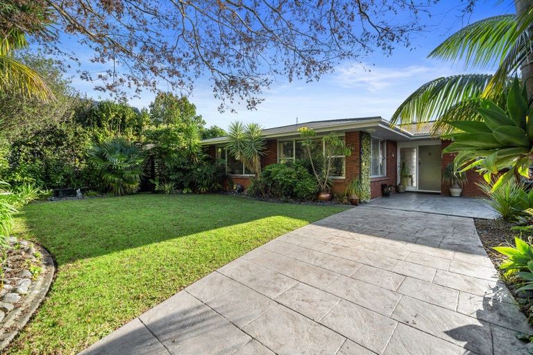 Photo of property in 52 Vine Avenue, Maungatapu, Tauranga, 3112