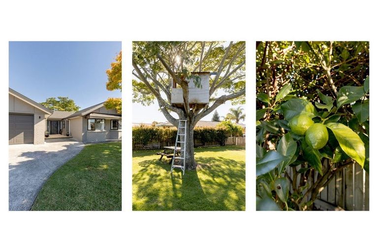 Photo of property in 3 Links View Drive, Omokoroa, 3114