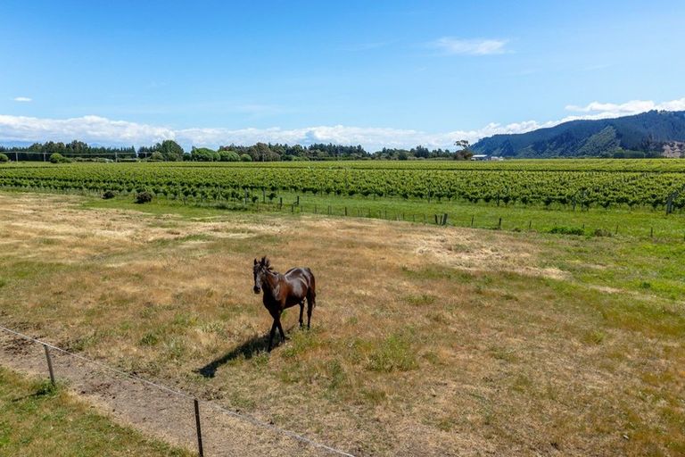 Photo of property in 113 Rarangi Road, Rarangi, Blenheim, 7273